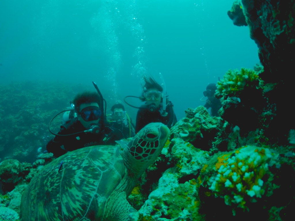 DCIM102GOPROG0231168.