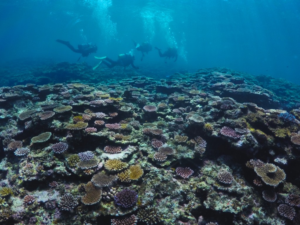 DCIM101GOPROGOPR0038.