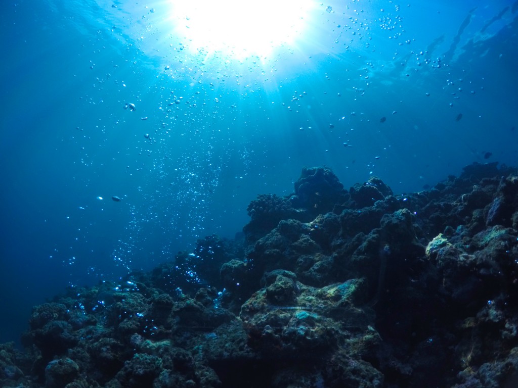 DCIM102GOPROGOPR1306.