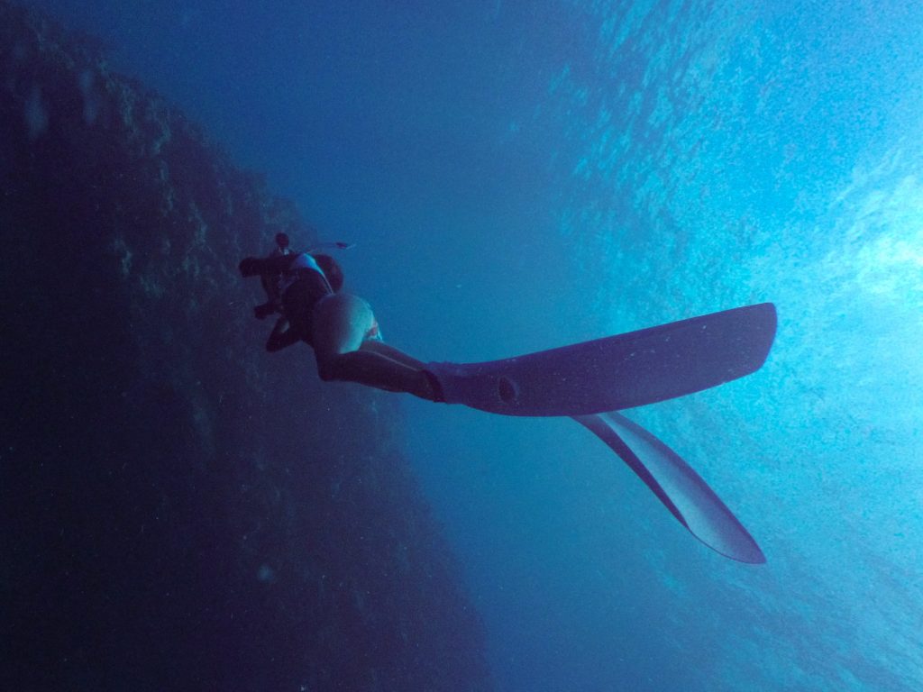 Yellow Submarine Dive Studio イエローサブマリン ダイブスタジオ