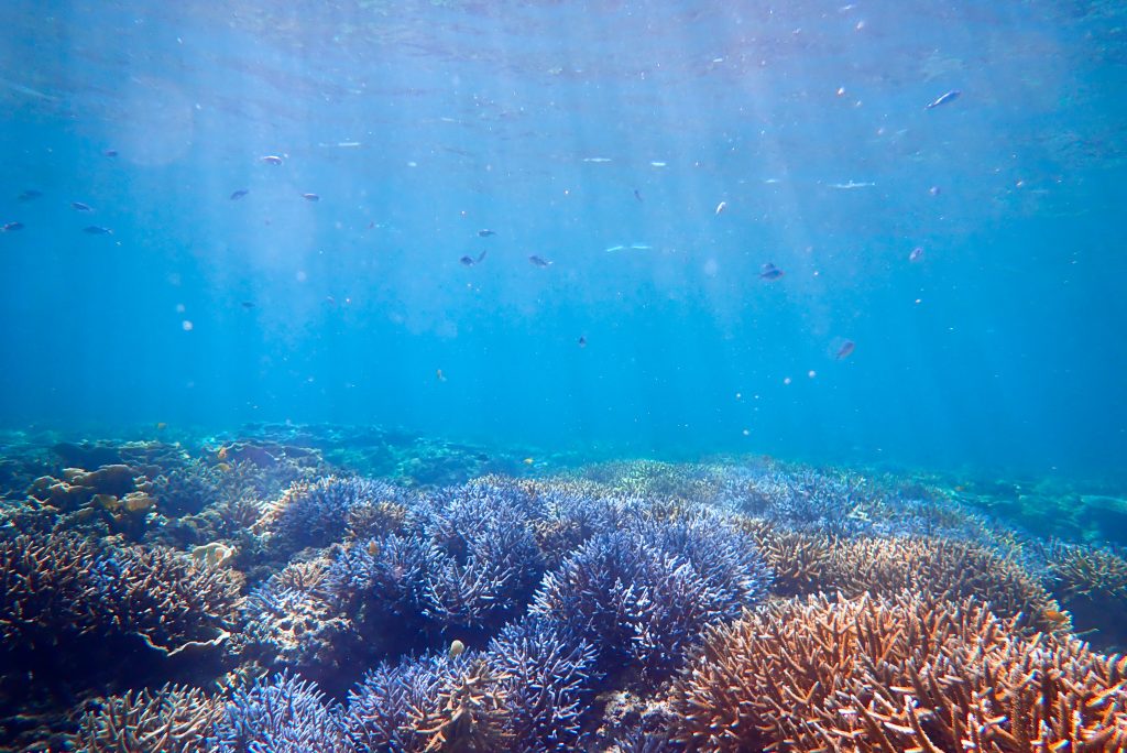 8月29日のイエサブ