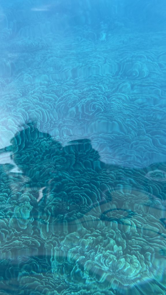 9月13日のイエサブ