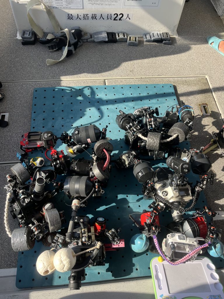 11月16日のイエサブ