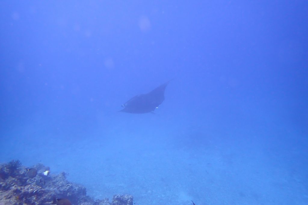 12月7日のイエサブ