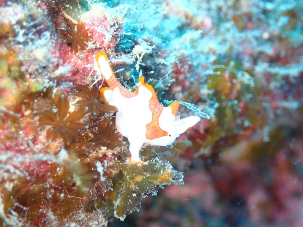 3月8日のイエサブ