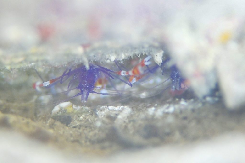 3月12日のイエサブ