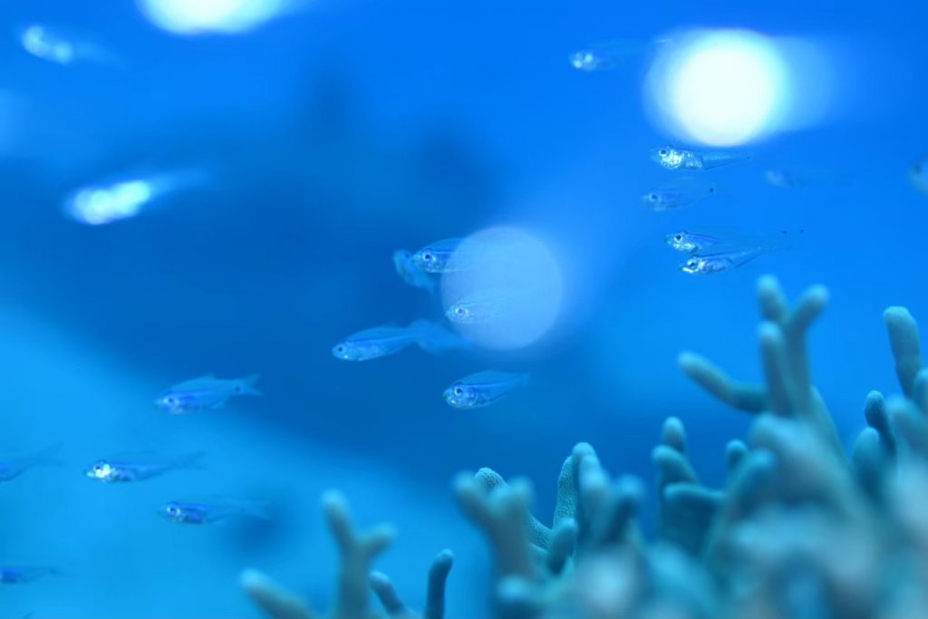 4月4日のイエサブ