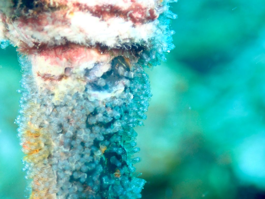 4月10日のイエサブ