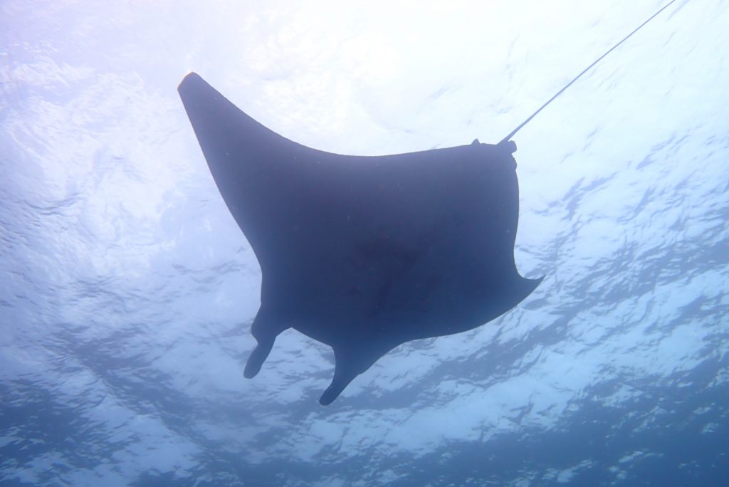 4月12日のイエサブ